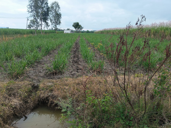 Agriculture property with water source