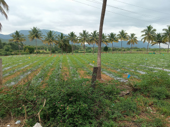 Property for sale in Kollegal, Chamrajnagar