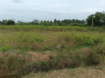 Agriculture/farm house land for sale