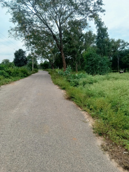 Agriculture/farm land from sale in kanakpura
