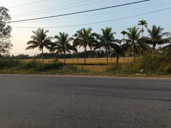 Property for sale in Halaguru, Mandya