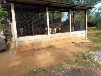 Property for sale in Malavalli, Mandya