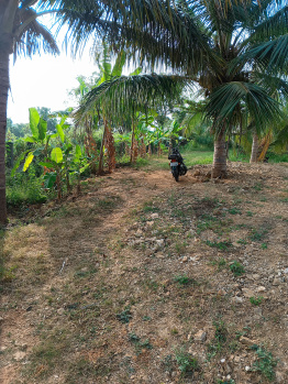 Property for sale in Malavalli, Mandya