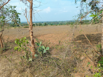 2 Acre Industrial Land / Plot for Sale in T Narasipura Road, Mysore