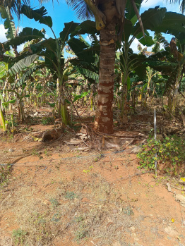 Property for sale in T Narasipura Road, Mysore