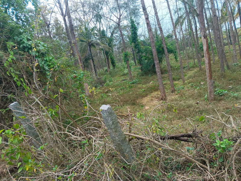 2 Sq.ft. Agricultural/Farm Land For Sale In Hunsur, Mysore