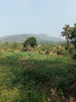 Property for sale in Virajpet, Kodagu