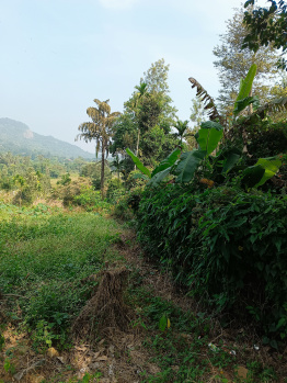 Property for sale in Virajpet, Kodagu