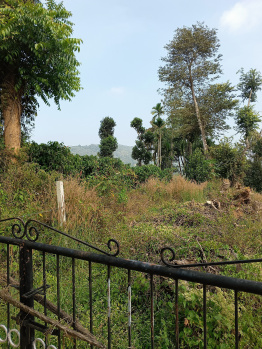 Property for sale in Virajpet, Kodagu