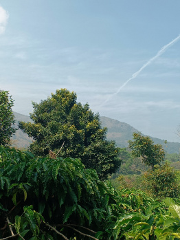 Property for sale in Virajpet, Kodagu