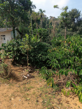 Property for sale in Virajpet, Kodagu