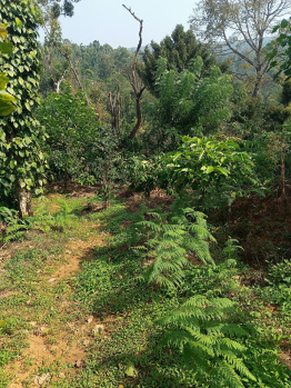 Property for sale in Virajpet, Kodagu