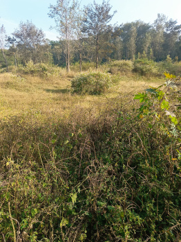 Farm land for sale in kushal nagar