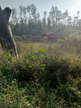 Property for sale in Kushalnagar, Kodagu