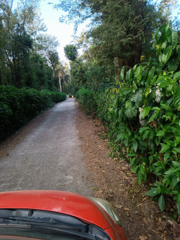 Property for sale in Kushalnagar, Kodagu