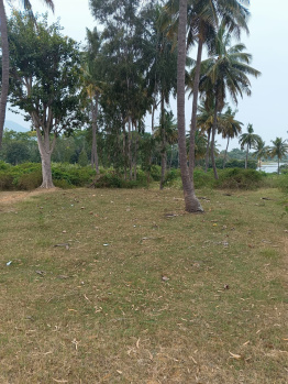 30 Guntha Agricultural/Farm Land for Sale in Kanakapura, Bangalore