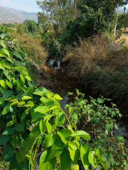 Property for sale in Malavalli, Mandya