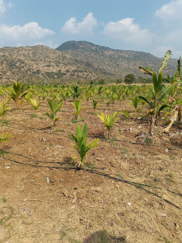 Property for sale in Malavalli, Mandya