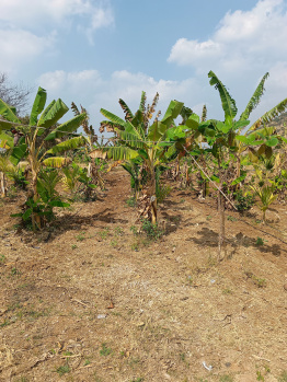 Property for sale in Malavalli, Mandya
