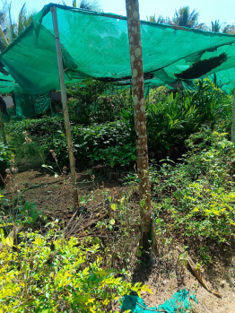 Property for sale in Kushalnagar, Kodagu