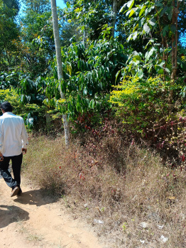 Property for sale in Kushalnagar, Kodagu