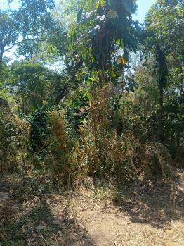 Property for sale in Kushalnagar, Kodagu