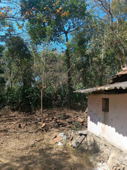 Property for sale in Kushalnagar, Kodagu