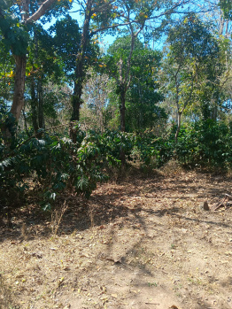 Property for sale in Kushalnagar, Kodagu