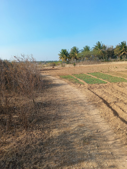 4.5 Acre Agricultural/Farm Land for Sale in Tirumakudal Narsipur, Mysore