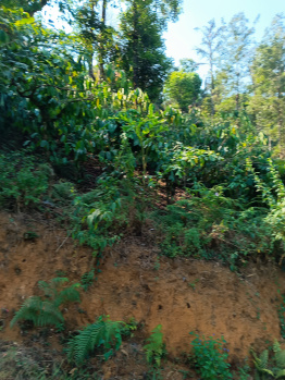 Property for sale in Madikeri, Kodagu