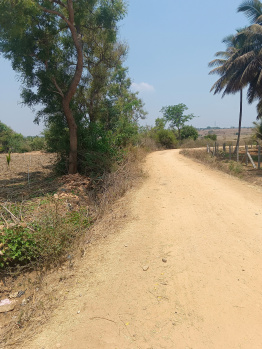 1 Acre Agricultural/Farm Land for Sale in Hunsur Road, Mysore