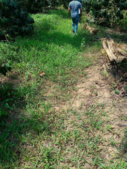 Property for sale in Virajpet, Kodagu