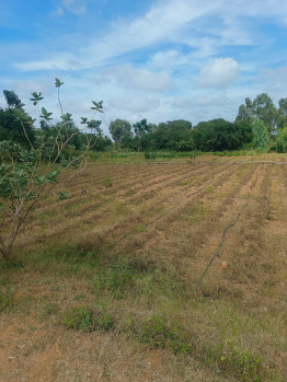 Property for sale in Bagepalli, Bangalore