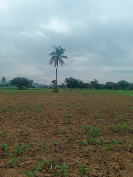 Property for sale in Bagepalli, Bangalore