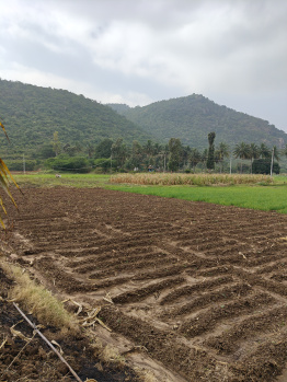 2 Acre Agricultural/Farm Land for Sale in Kollegal, Chamarajanagar