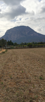 1.7 Acre Agricultural/Farm Land for Sale in Manchenahalli, ChikBallapur