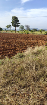 Agricultural/Farm Land for Sale in Kollegal, Chamarajanagar (10 Acre)