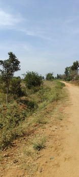 Agricultural/Farm Land for Sale in Hunsur Road, Mysore (1 Acre)