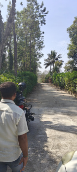 Property for sale in Coorg, Mysore