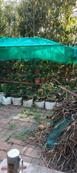 Property for sale in Coorg, Mysore