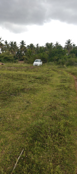 Agricultural/Farm Land for Sale in Kollegal, Chamarajanagar (2.75 Acre)