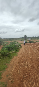 Agriculture property for sale Chikkaballapur