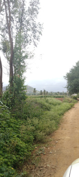3 acres agriculture property gudibande