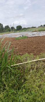 Property for sale in Gudibanda, ChikBallapur