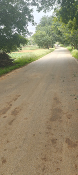 5 acres agriculture property Chikkaballapur