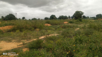 Agriculture property for sale in bagepalli