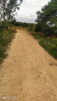 Property for sale in Bagepalli, ChikBallapur