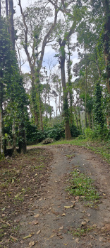 Coffee estate for sale in Coorg