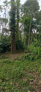 Property for sale in Madikeri, Kodagu
