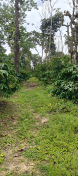 Property for sale in Madikeri, Kodagu